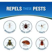 Cutter Backwoods Dry Insect Repellent, Aerosol, 4-Ounce - 1 Pack - View 3
