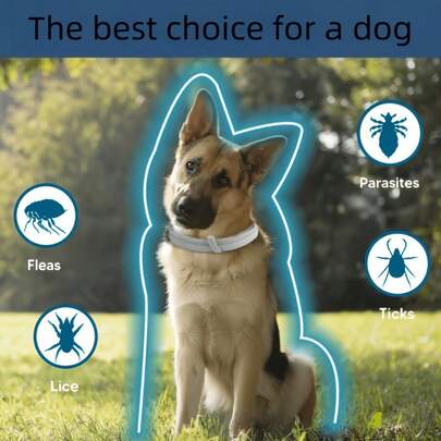 1pc Dog Calming Collar, No Chemical Additives Or Insecticides, Lasting Effect For 8 Months, Adjustable Size Suitable For Small, Medium And Large Dogs, Waterproof Dog Collar | Adjustable Collar | Dog Collar | Cat Collar | Dog Accessories