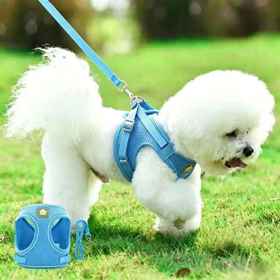 1 Set Cat & Dog Harness Leash, 4-Season Breathable Mesh Adjustable Reflective Vest Harness For Small/Medium Pets, Comfortable Outdoor Walking (Size Runs Large, Recommend Ordering One Size Down) - Baby Blue - View 1