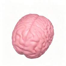 Extra Large Anti-Stress Brain Squeeze Toy, Slow Rebound Squishy Ball, Emotion Release, Moldable - Birthday Gift, Perfect Gift, New Arrival Bestseller - Multicolor - View 8