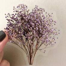 50 piezas Colección de flores secas Pegatinas de registro PET Materiales decorativos hechos a mano para scrapbooking, diario, álbum, manualidades, suministros para scrapbooking - 1 juego - 50 piezas - Ver 4