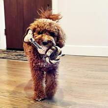 Rite Lite Chewdaica Bone Squeaky Dog Toy Matzah Design Pesach Seder Gifts Dog Owners & Durable With Chew Pull Rope Holiday Party Favors Haggadah Dog Accessories 9 L - 逾越節骨頭狗玩具 - 查看 5