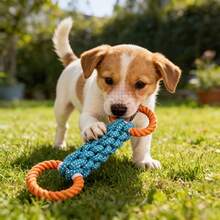 1 pieza Juguete de cuerda para perros de color aleatorio. Diseñado para la limpieza dental y el juego al aire libre para mascotas. Adecuado para cualquier raza y tamaño de perro. Duradero y de larga duración, excelente para juegos interactivos. Este es el juguete favorito para perros. - Multicolor - Ver 3