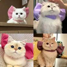 可爱森系少女蝴蝶结领巾装饰，性感萌系猫女cosplay，适合拍照，超大蝴蝶结，适合高街周转率 - 彩色 - 查看 3
