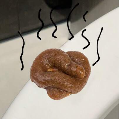 逼真假便便恶搞礼物 - 逼真的假便便恶搞道具，趣味新颖的装饰品，适合交换礼物、圣诞节、生日、愚人节和成人派对趣味礼物