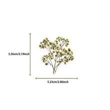 50 piezas Colección de flores secas Pegatinas de registro PET Materiales decorativos hechos a mano para scrapbooking, diario, álbum, manualidades, suministros para scrapbooking - 1 juego - 50 piezas - Ver 3