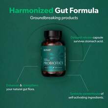 BI0MA Probiotics - Digestive Health Probiotic - Gut Support For Men & Women With Xylooligosaccharides, Tributyrin & Bifidobacterium - Vegan & Gluten Free - 60 Delayed-Release Capsules (30-Day Supply) - 3-bottle - 查看 5