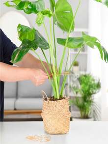 Giá đỡ cây Monstera dạng móng vuốt, thiết kế độc đáo cho cây leo, bộ kẹp tre, giá đỡ lý tưởng cho sự phát triển khỏe mạnh, hệ thống ổn định và hỗ trợ cây Monstera chắc chắn với bộ kẹp tre, giàn kim loại cho cây leo, lựa chọn lý tưởng cho sự phát triển khỏe mạnh của cây và giá đỡ trang trí sân vườn, cấu trúc hỗ trợ cây | Giá đỡ cây leo | Bộ ổn định kim loại, trang trí Giáng sinh [Đây là sản phẩm chất lượng cao, và có thể có một số điểm hàn trong quá trình sản xuất nhưng không ảnh hưởng đến chức năng] - Nhiều màu - Xem 11