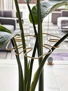 Giá đỡ cây Monstera dạng móng vuốt, thiết kế độc đáo cho cây leo, bộ kẹp tre, giá đỡ lý tưởng cho sự phát triển khỏe mạnh, hệ thống ổn định và hỗ trợ cây Monstera chắc chắn với bộ kẹp tre, giàn kim loại cho cây leo, lựa chọn lý tưởng cho sự phát triển khỏe mạnh của cây và giá đỡ trang trí sân vườn, cấu trúc hỗ trợ cây | Giá đỡ cây leo | Bộ ổn định kim loại, trang trí Giáng sinh [Đây là sản phẩm chất lượng cao, và có thể có một số điểm hàn trong quá trình sản xuất nhưng không ảnh hưởng đến chức năng] - Nhiều màu - Xem 2