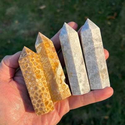 1 viên đá san hô hóa thạch hình trụ, đá san hô tự nhiên dạng cabochon, đá quý rời, đá bỏ túi, tinh thể san hô hóa thạch, mẫu vật độc đáo để sưu tầm và sử dụng cho mục đích giáo dục, hoàn hảo cho bộ sưu tập tại nhà và làm quà tặng cho Ngày Valentine và các ngày lễ.