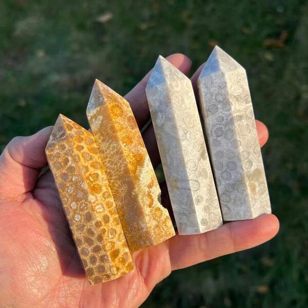 1 viên đá san hô hóa thạch hình trụ, đá san hô tự nhiên dạng cabochon, đá quý rời, đá bỏ túi, tinh thể san hô hóa thạch, mẫu vật độc đáo để sưu tầm và sử dụng cho mục đích giáo dục, hoàn hảo cho bộ sưu tập tại nhà và làm quà tặng cho Ngày Valentine và các ngày lễ.