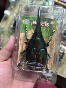 Colorful Beetle Model Decor, Insect Model Decor, Creative Stress Relief Gift For Friends And Family Who Enjoy It, Suitable For Garden And Home Decoration - Multicolor - View 10