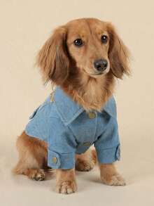 PETCIRCLE Áo khoác dễ thương cho thú cưng nhỏ, bền và có thể giặt được. - Màu xanh lam - Xem 4