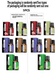 9pcs Essential Oil Set, 12pcs/10pcs/8pcs/6pcs/5pcs/3pcs Essential Oil Gift Box Set, 19pcs/6pcs/5pcs/4pcs/3pcs/2pcs Essential Oil Combination Set, Rose, Lavender, Jasmine, Vanilla, Ocean Scent And 19 Types Of 10ml Essential Oils, Suitable For Essential Oil Diffuser, Scented Candles, Oil Burner Diffuser, Stones, Humidifier, Car Air Freshener, Home Fragrance Refills - Multicolor - View 13