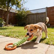 1 pieza Juguete de cuerda para perros de color aleatorio. Diseñado para la limpieza dental y el juego al aire libre para mascotas. Adecuado para cualquier raza y tamaño de perro. Duradero y de larga duración, excelente para juegos interactivos. Este es el juguete favorito para perros. - Multicolor - Ver 8