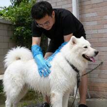 2双宠物洗澡手套，超长宠物洗毛刷，适用于贵宾犬、金毛寻回犬及其他宠物 - 藍色 - 查看 1