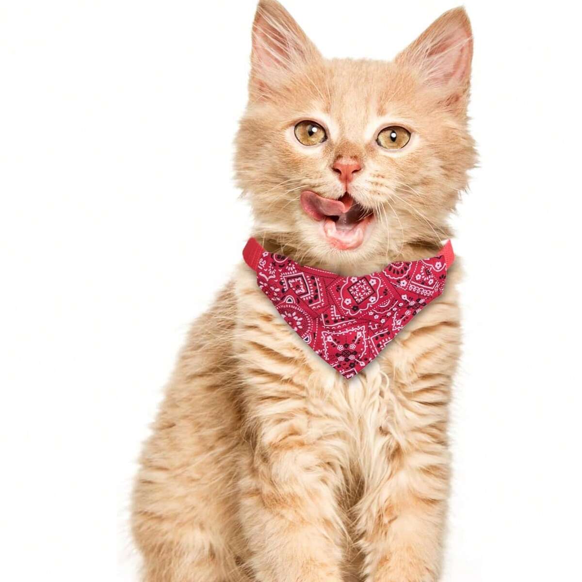 1/3 pièces Bandana réglable en triangle pour animaux de compagnie chien chat, foulard lavable, col, bavette décorative, convient pour les chats, les petits chiens, les chatons, les chiots, bandeau réglable 8