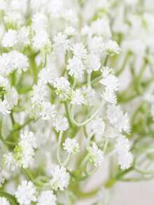 20/10/5/1pc Artificial White Baby's Breath, White Artificial Flowers, Suitable For Wedding Decoration, Home Decor, Tabletop Decor, DIY Floral Arrangement, Wedding And Holiday Party Decoration, Home Outdoor Garden Decor, Wedding, Party, Room Decoration - Multicolor - View 5