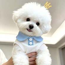 1件猫狗夏季薄款polo衫，翻领T恤，适合曼基康猫、英国短毛猫等，可爱宠物背心，防掉毛 - 白色 - 查看 12