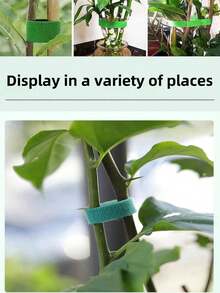 10M 可重複使用園藝植物紮帶，可調節園藝魔力紮帶，植物魔鬼氈勾環用於捆綁與固定枝條，枝條紮帶，園藝花卉植物用品，花園陽台園藝美化種植用品，種植盆與容器配件 (10/5M/3M/1M) 可選 - A - 查看 9