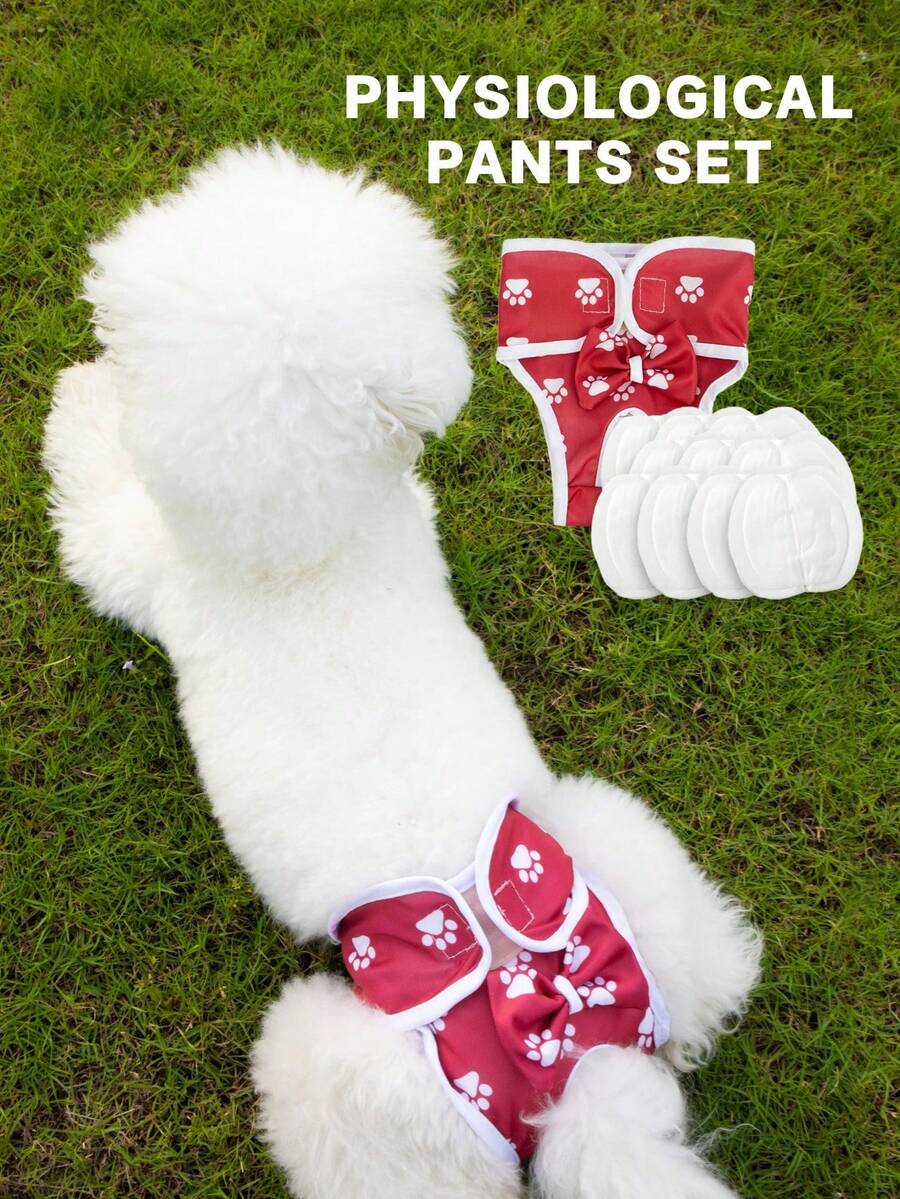 Conjunto de pantalones fisiológicos con moño para perros (incluye 20 almohadillas desechables), pantalones menstruales, adecuados para mascotas medianas y pequeñas - Rojo - Ver 1