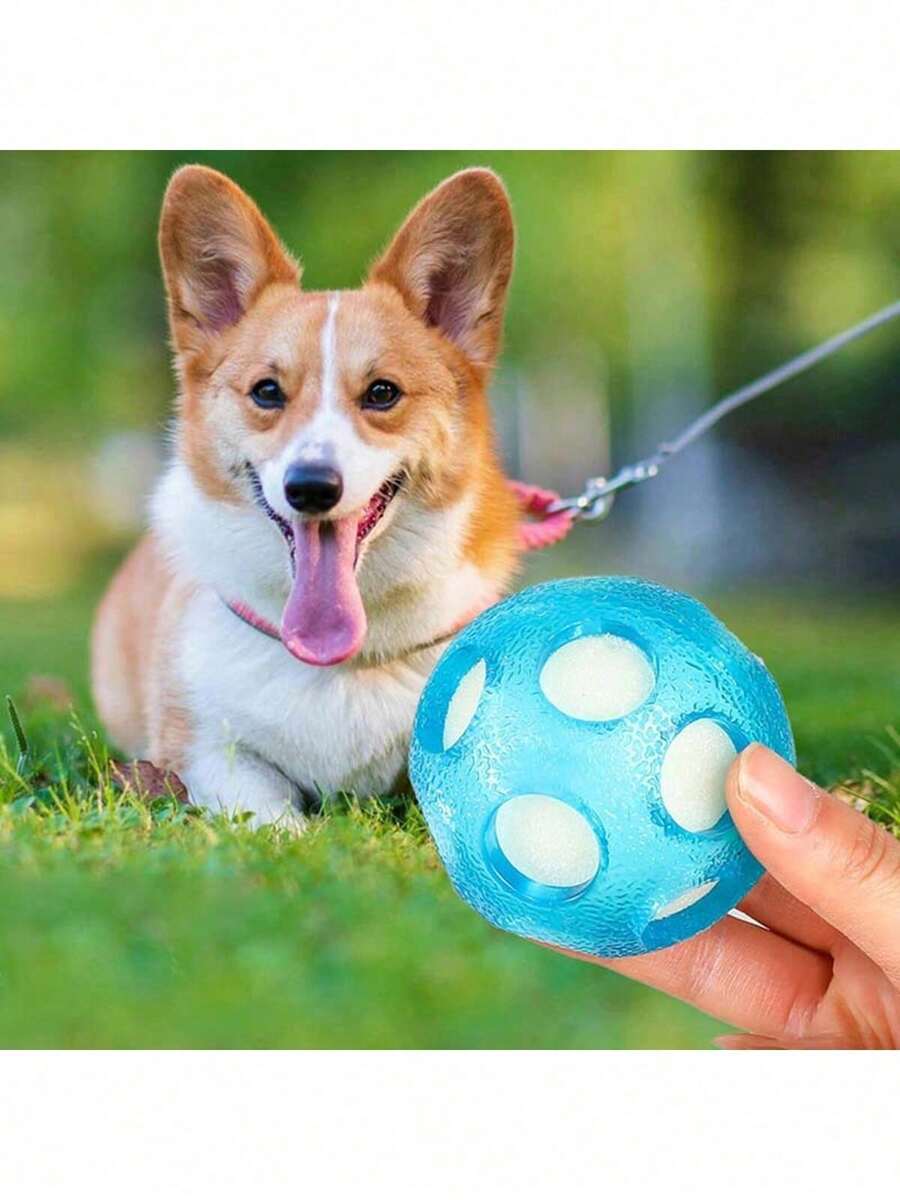1 quả bóng nổi trên biển, đồ chơi bóng cho chó để đuổi bắt và chơi trong nước, đồ chơi tương tác cho chó ở hồ bơi mùa hè - Bóng nước nổi bằng cao su nhiệt dẻo - Đồ chơi hồ bơi cho chó cỡ trung bình để gặm và đuổi bắt. - Nhiều màu - Xem 1