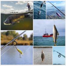Línea de pesca trenzada de alta resistencia 0.4#/10#, 6 Lbs - 100 Lbs, sin estiramiento y con recubrimiento anti-mordedura, apta para pesca de agua dulce/salada, 4 hebras - Multicolor - Ver 8