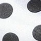 White Face/black Spots