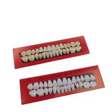 1 Bộ Răng Giả Toàn Hàm Bằng Nhựa Acrylic, Răng Giả Toàn Hàm Bằng Polymer Tổng Hợp, 23 Màu A2 Chất Liệu Nha Khoa Cho Hàm Trên + Hàm Dưới Để Thay Thế, Tự Làm Hoặc Làm Vật Dụng Hóa Trang Halloween - Nhiều màu - Xem 7