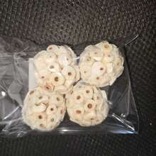 2.36英寸鸟类觅食和咀嚼玩具，适合小型鸟类和鹦鹉磨喙玩具 - 查看 13