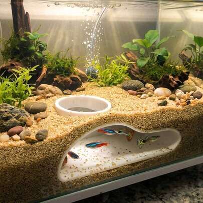 Túnel de Aquário para Peixes | Decoração de Caverna Curva Natural para Guppies, Betta, Plecos de Bigode | Acessórios para Aquário de Água Doce e Salgada | Esconderijo de Peixes Fácil de Instalar
