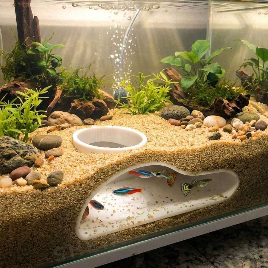 Aquarium Fish Tunnel Hideaway | Natural Curved Cave Decor Suitable For Bettas, Gouramis, Catfish | Freshwater & Saltwater Tank Accessory | Easy To Install Fish Hiding Place