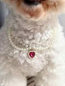 Elegante collar de cristal para mascotas, nuevo y lindo collar brillante para gatos, perros y mascotas pequeñas, accesorio para mascotas para días festivos o eventos - Multicolor - Ver 8