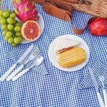 Cesta de picnic para 4 cestas de picnic aisladas con correa para el hombro cesta de picnic con manta impermeable cesta de mimbre hecha a mano para exteriores gran regalo para Acción de Gracias - Azul y Blanco a cuadros - Ver 8