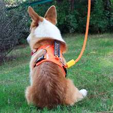 Adjustable Black/Blue/Purple Dog Leash, Explosion-Proof Handle Horizontal Leash, Dual-Leash, Outdoor Running Training Traction Rope, Multifunctional Traction Rope, Soft Handheld Leash, Hands-Free Traction Leash - Multicolor - View 4