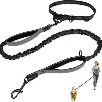 Reflective Elastic Dog Leash Set For Outdoor Running, Walking, Shock Absorbing Traction Rope