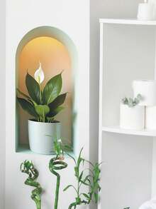 Hình dán tường 3D lập thể tạo hốc tường giả, cửa sổ giả, cây xanh sinh học, tự dính, chống thấm nước, có thể tháo rời, phong cách Wabi-Sabi, decal treo chậu cây cho phòng khách, phòng ngủ, phòng tắm. - Hình dán tường - Xem 4