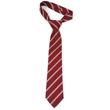 12条领带套装，法式奢华条纹领带礼盒装，男士商务套装百搭款式，适合正式场合、婚礼、通勤、节日、父亲节礼物 - 彩色 - 查看 3