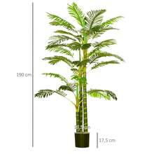 Live Plants - C - View 4
