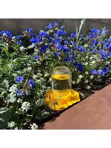 Honeycomb Bee Watering Tool, Bee Feeder For Garden And Patio With Resting Place, Bee And Butterfly Waterer - A - View 6