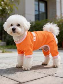 1件宠物四脚服，狗/猫背心，适合大型犬、猫、泰迪犬、贵宾犬等，防蚊空调服 - 彩色 - 查看 6