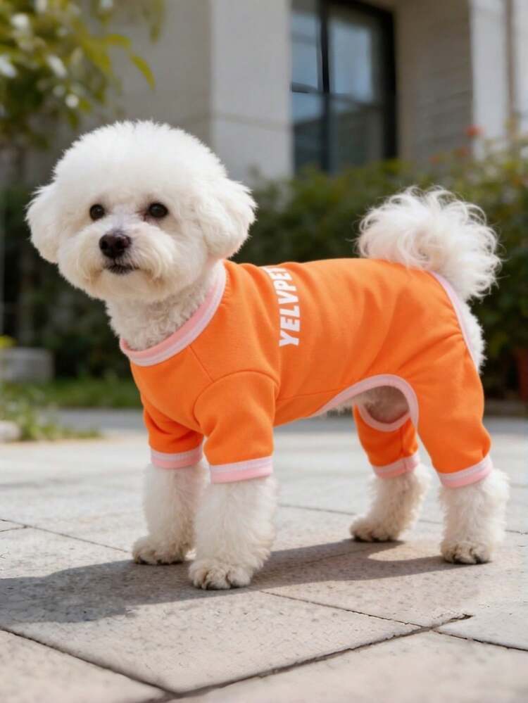 1件宠物四脚服，狗/猫背心，适合大型犬、猫、泰迪犬、贵宾犬等，防蚊空调服 - 彩色 - 查看 5