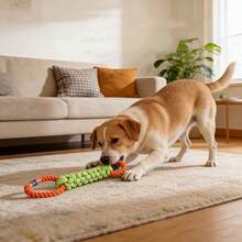 Chew Toy For Dog Dental Care And Outdoor Play, Rope Knot Design - Multicolor - View 4
