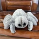 Gray Bigfoot Spider (90g)