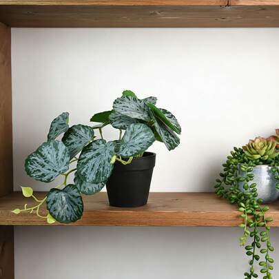 Cây cảnh mini để bàn trông như thật, cây xanh nhân tạo không cần chăm sóc, trang trí bàn làm việc văn phòng.