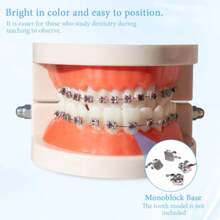 S Falsos Para DientesBraces Kit Wit S And Wire S Para Dientes  Dental Students And Ortic Practice Ro Red - 如圖所示 - 查看 4