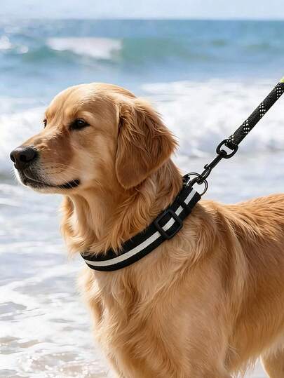 Bộ dây dắt thú cưng màu đen cho chó và mèo, có phản quang, dùng để dắt chó và mèo, không gây nghẹt thở, gồm hai chiếc.