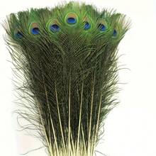 1/5/10/20/50pcs Vivid Artificial Peacock Feathers, 10-12 Inches (25-30cm) Long, Suitable For DIY Floral Arrangement, Elegant Home Decor, Wedding, Christmas Party, Holiday Celebration And Craft Making - Multicolor - View 5