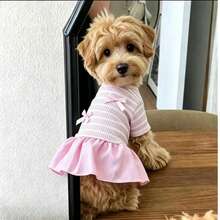 Lightweight Breathable Striped Dog Dress, Casual Pet Clothes For Small Dogs, Spring/Summer - White - View 4
