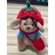 Tomato and Bean + Red Knitted Crossbody Bag